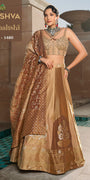 Champagne Gold & Coffee Brown Banarasi Silk Lehenga with Designer Cross-Strap Choli